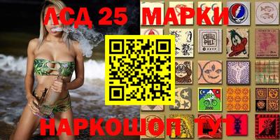 тгк Шебекино