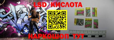 тгк Шебекино