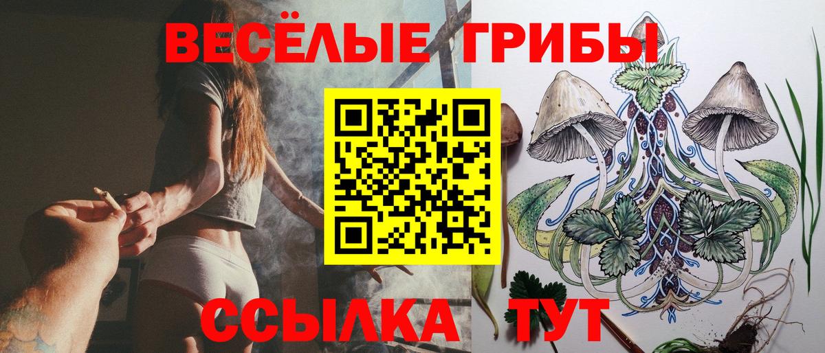 Галлюциногенные грибы MAGIC MUSHROOMS Мурино