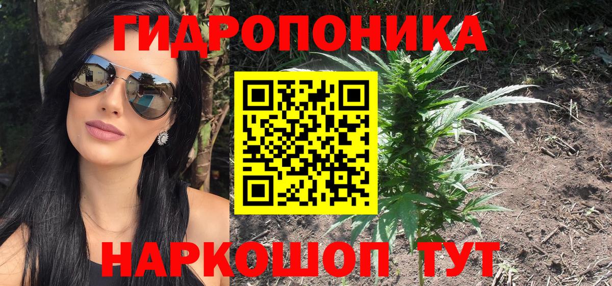 Бошки Шишки конопля Мурино